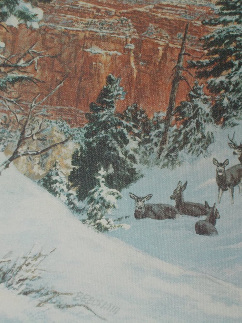 Vintage wildlife deer lithograph on canvas framed, by Beecham - Picture 8 of 8
